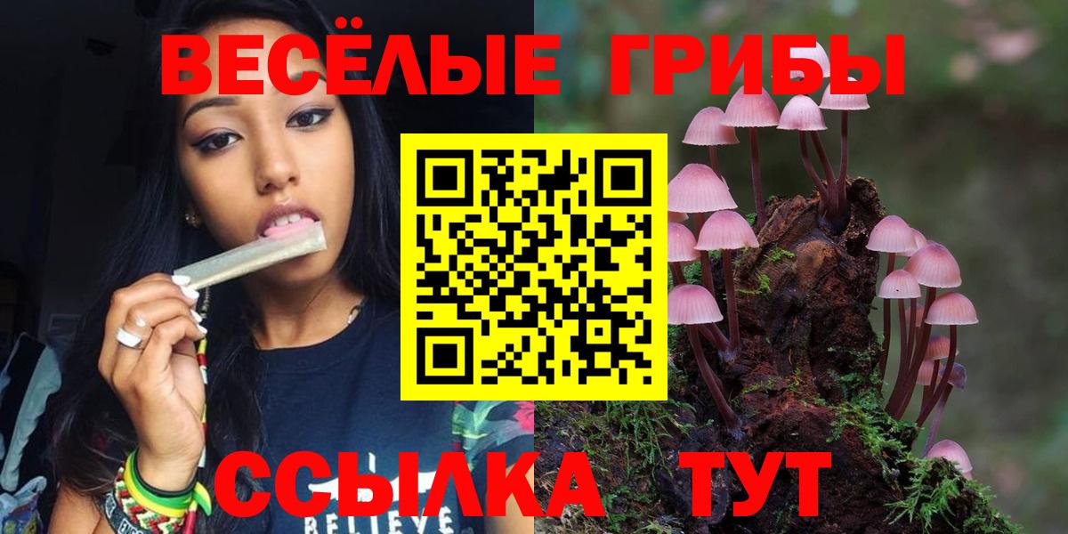 Галлюциногенные грибы Magic Shrooms Кировск